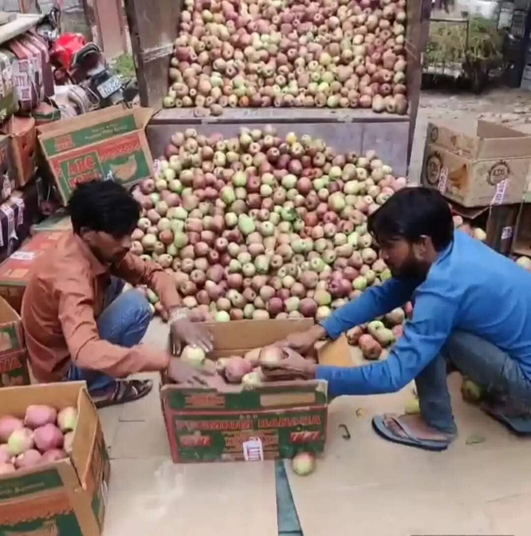 मुरादाबाद में सेब की कमी: बारिश से प्रभावित फल बाजार