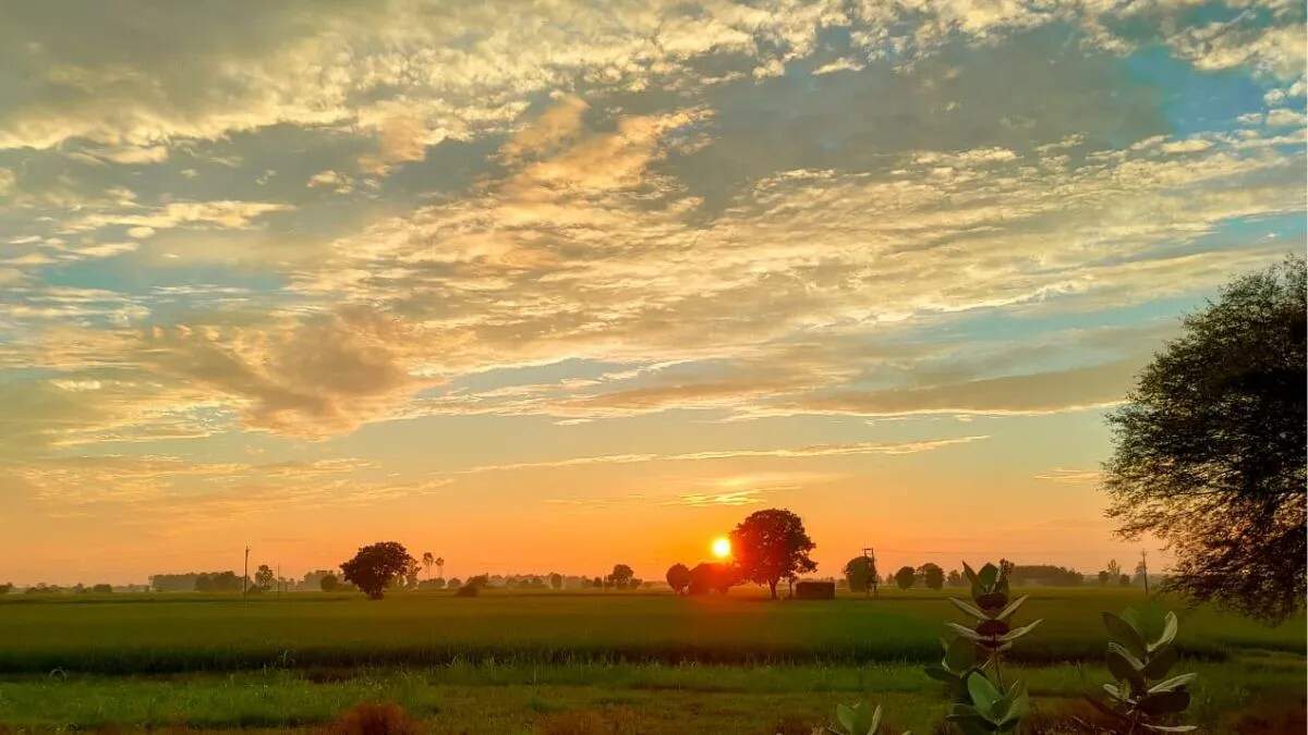 उत्तर प्रदेश में ठंड का असर: तापमान में गिरावट और कोहरे की संभावना