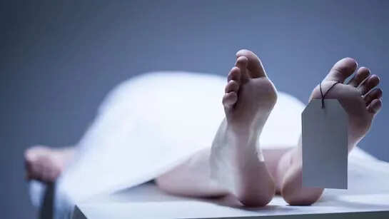 नोएडा में मां-बेटे की दर्दनाक मौत: 13वीं मंजिल से गिरने की घटना