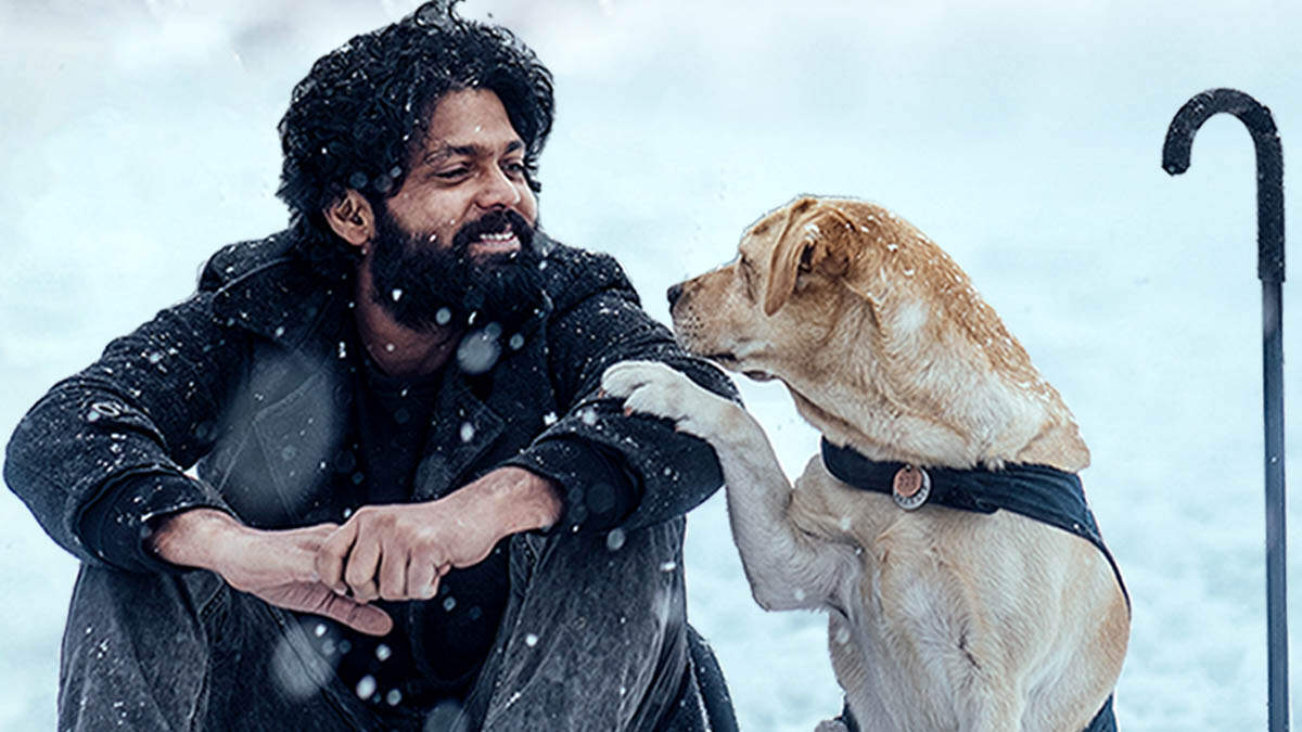777 Charlie: एक कुत्ते की कहानी जिसने बदल दी एक आदमी की जिंदगी