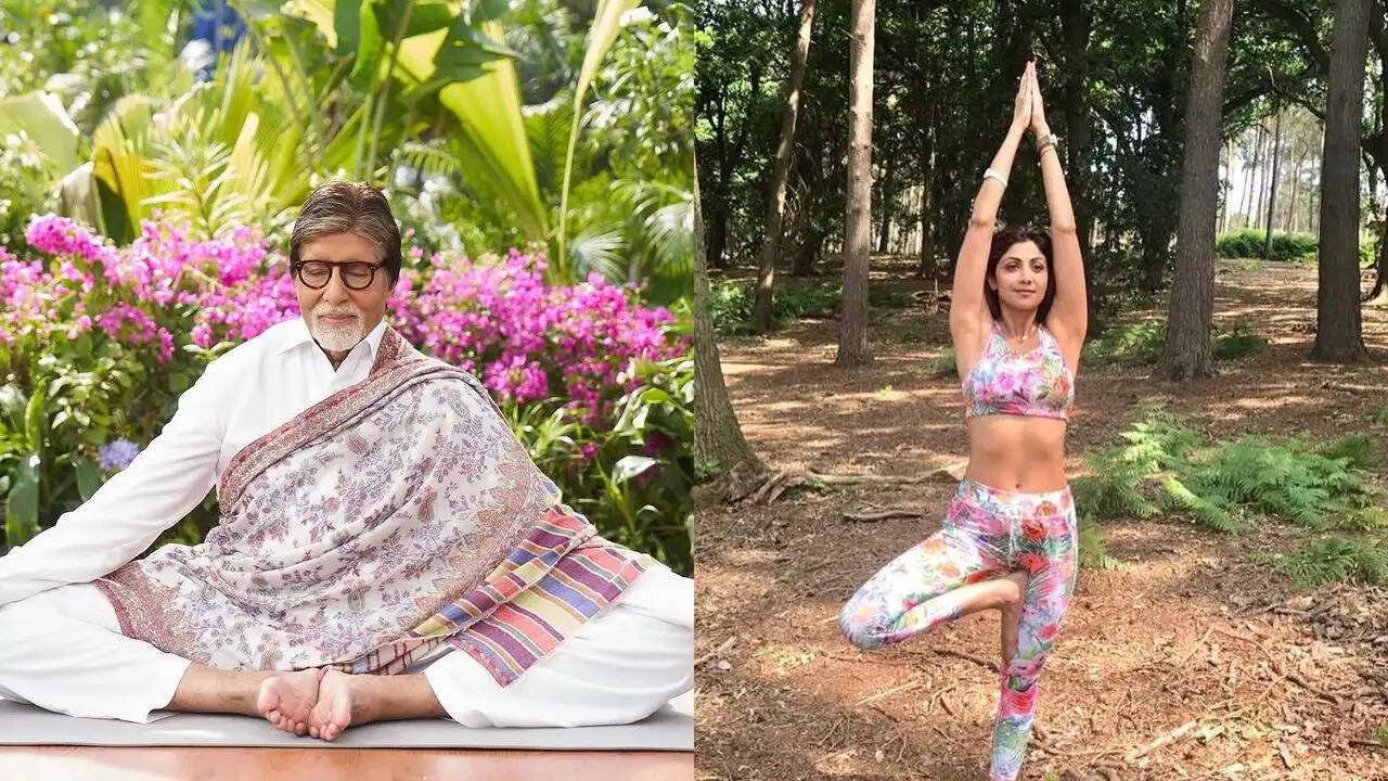 बॉलीवुड के ये सितारे कैसे योग के जरिए रखते हैं खुद को फिट?