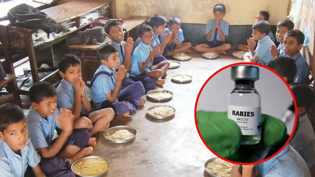 छत्तीसगढ़ के स्कूल में मिड-डे मील में घुसा आवारा कुत्ता, 84 छात्रों ने खाया दूषित खाना
