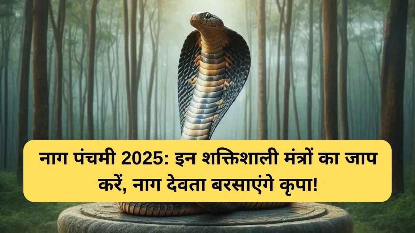 नाग पंचमी पर जपने वाले शक्तिशाली मंत्र