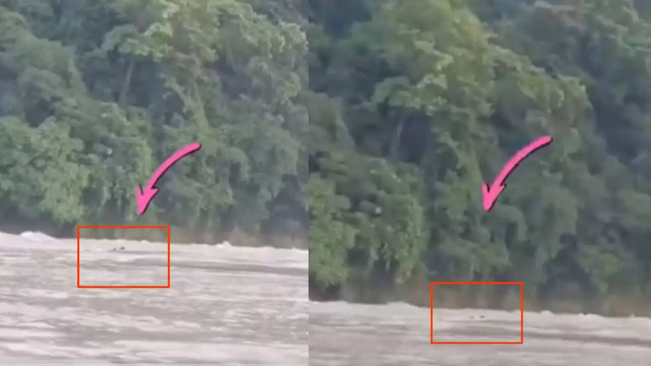 ऋषिकेश में चंद्रभागा नदी में दंपती का लापता होना, सर्च ऑपरेशन जारी
