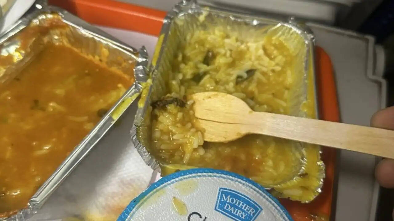 वंदे भारत एक्सप्रेस में मरे हुए कीड़े की घटना से हड़कंप, रेलवे ने उठाए सख्त कदम