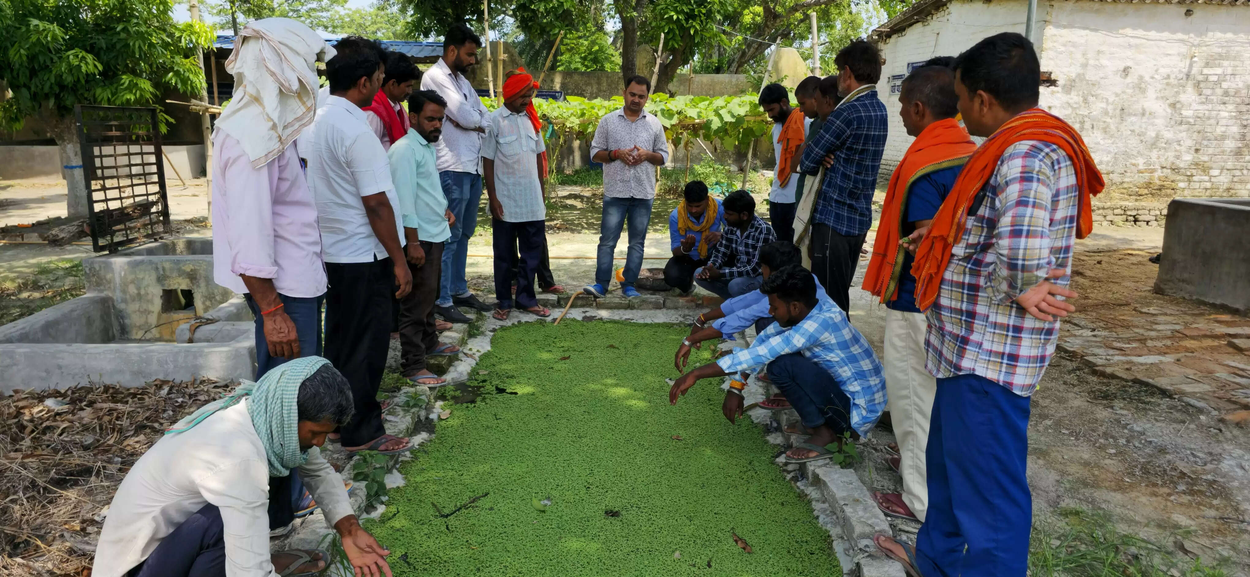 केविके परसौनी ने किसानों के बीच किया अजोला का प्रसार