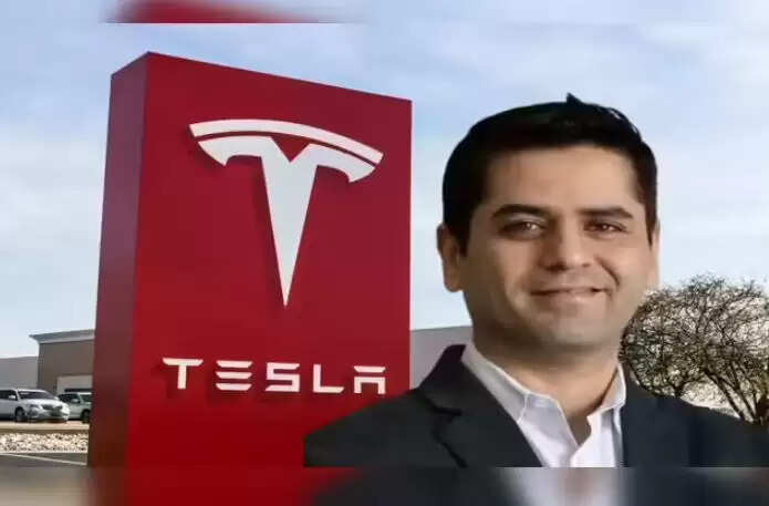 वैभव तनेजा बने एलन मस्क की अमेरिका पार्टी के कोषाध्यक्ष