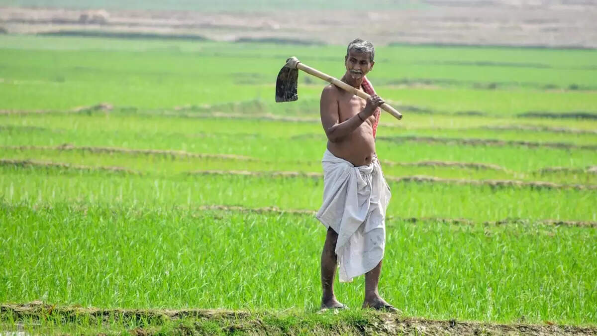 प्रधानमंत्री किसान योजना की 20वीं किस्त: जानें जरूरी औपचारिकताएं