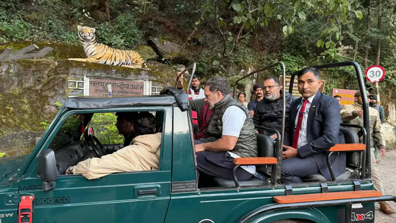 क्या राहुल गांधी की जंगल सफारी ने बिहार चुनाव में कांग्रेस की स्थिति को कमजोर किया?