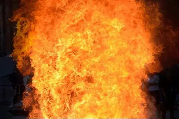 दिल्ली के दयालपुर में बहुमंजिला इमारत में आग, चार लोगों ने लगाई छलांग