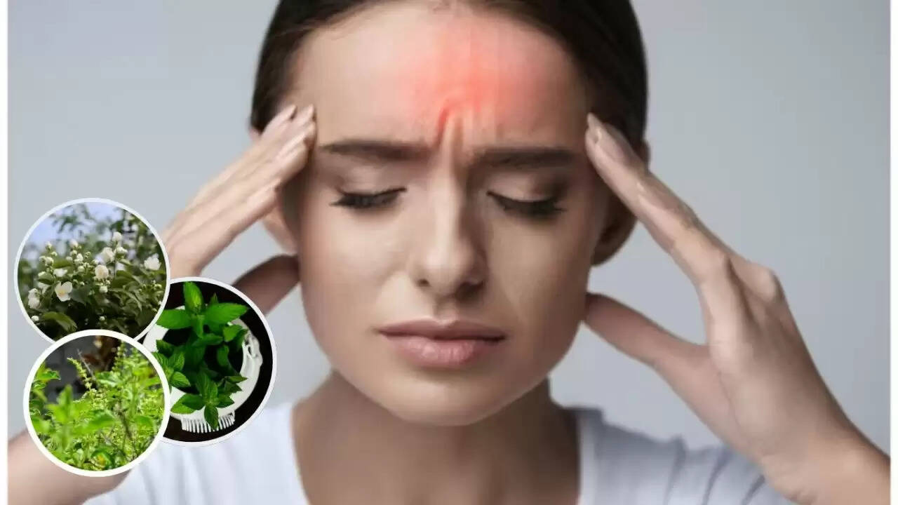 सिरदर्द से राहत के लिए 5 सुगंधित पत्ते: जानें इनके फायदे और उपयोग