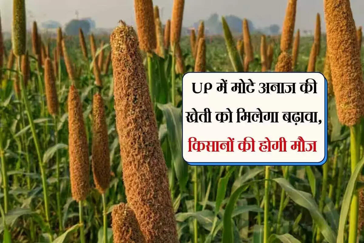 योगी सरकार की नई योजनाएं: किसानों के लिए मुफ्त बीज और मोटे अनाज की खेती को बढ़ावा