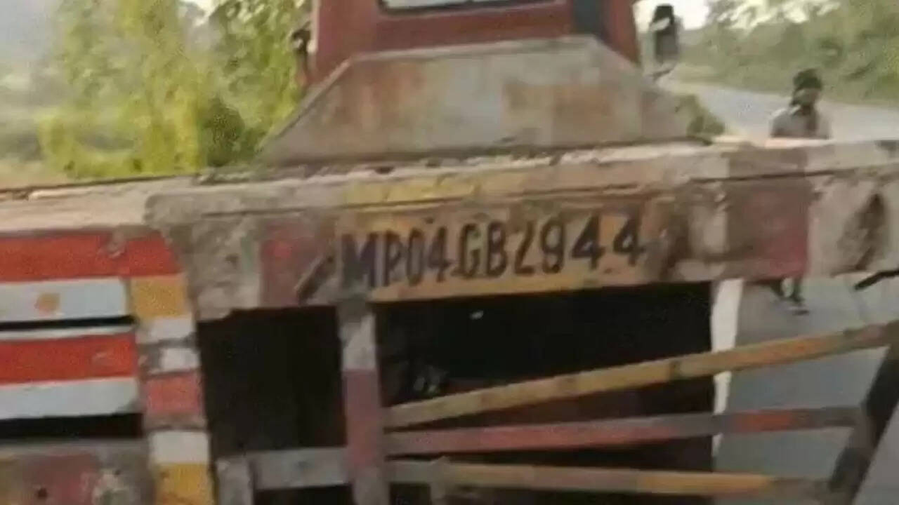 डिंडौरी में सड़क दुर्घटना में चार की मौत, प्रशासन ने की सुरक्षा की मांग