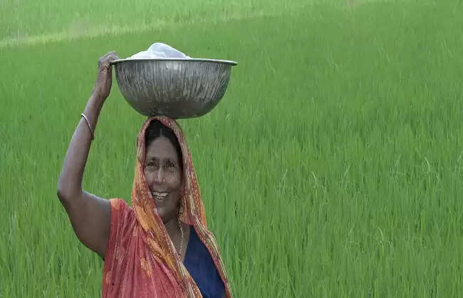 बिहार में बीते 19 वर्षों में खाद्यान्न उत्पादन में हुई 192 प्रतिशत से अधिक की वृद्धि