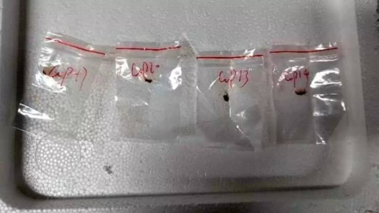 डेट्रायट में चीनी नागरिकों पर कृषि आतंकवाद का आरोप