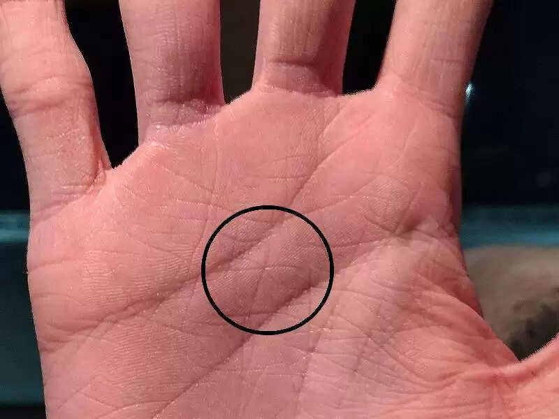 हाथ में धन के संकेत: जानें कौन से निशान बनाते हैं आपको करोड़पति