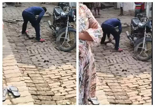 कानपुर में अजगर की निर्मम हत्या का वीडियो वायरल, युवक की आलोचना