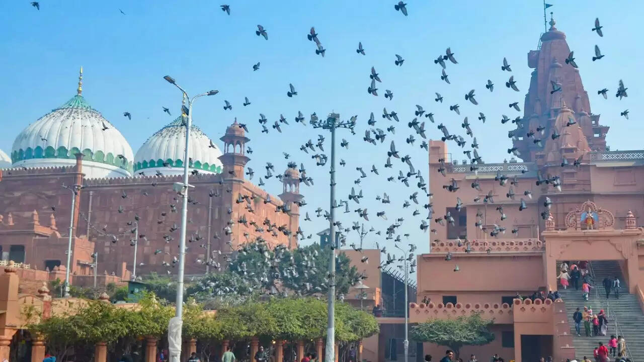 मथुरा में शाही ईदगाह मस्जिद विवाद पर हाईकोर्ट का बड़ा फैसला: याचिका खारिज