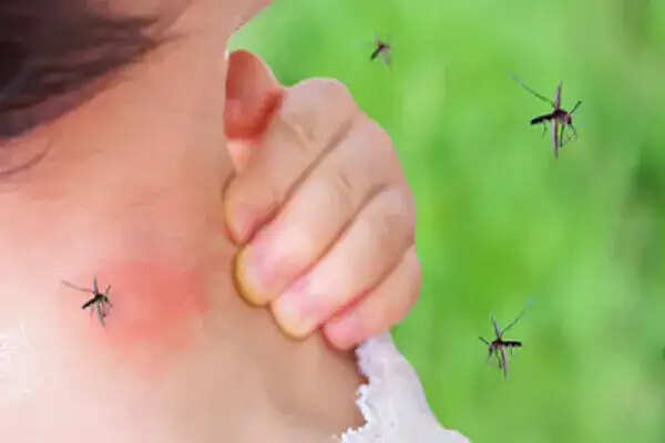 मलेरिया से सुरक्षा: WHO की सलाह और सावधानियां