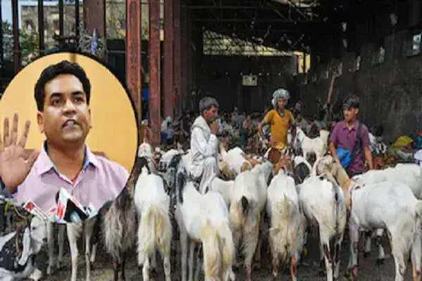 दिल्ली सरकार ने बकरीद पर कुर्बानी के लिए सख्त नियम लागू किए