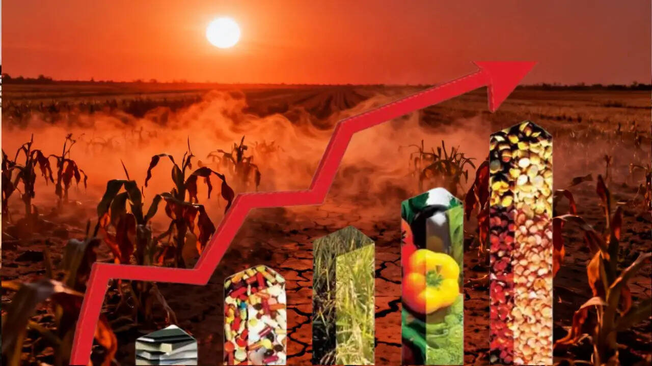 गर्मी और महंगाई का संकट: क्या बढ़ेगी खाद्य कीमतें?