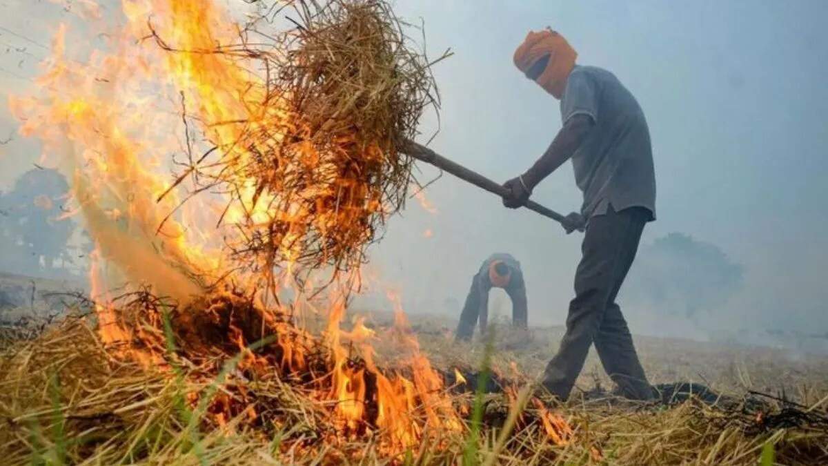 कैथल में पराली जलाने के मामले बढ़े, प्रशासन ने की कार्रवाई