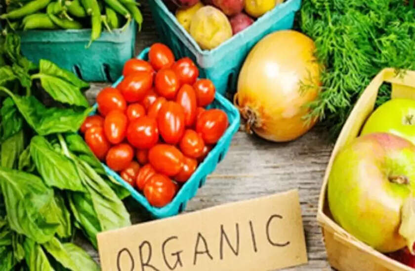 फोक डांस के जरिए फिटनेस: एक अनोखा वर्कआउट अनुभव