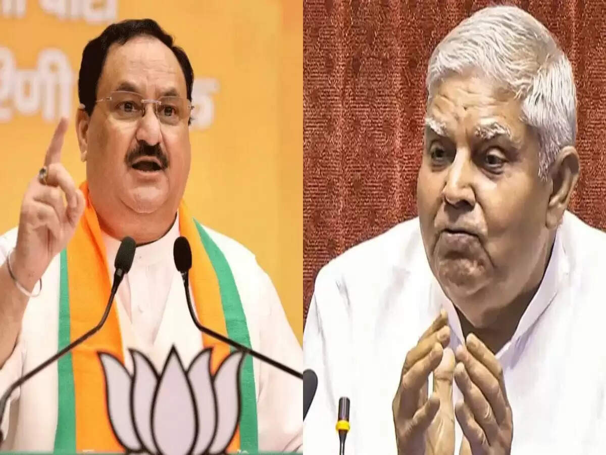 उपराष्ट्रपति जगदीप धनखड़ के इस्तीफे से सियासी हलचल