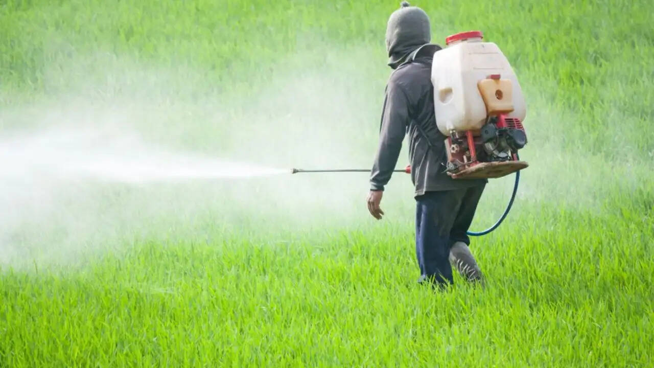 कीटनाशकों का वैश्विक प्रभाव: भारत और अन्य देशों की भूमिका