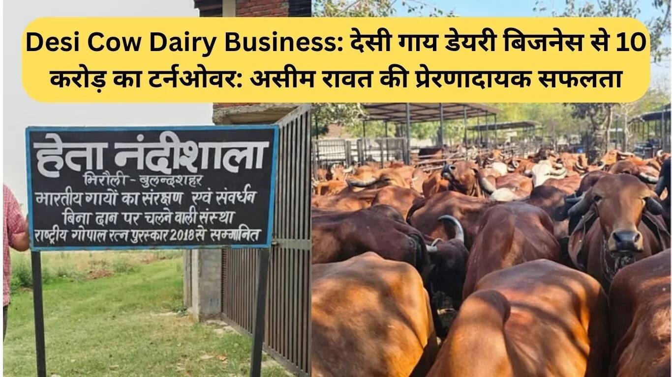 देसी गाय डेयरी व्यवसाय: असीम रावत की प्रेरणादायक सफलता की कहानी