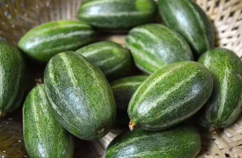 परवल: मोटापा कम करने और स्वास्थ्य के लिए फायदेमंद सब्जी