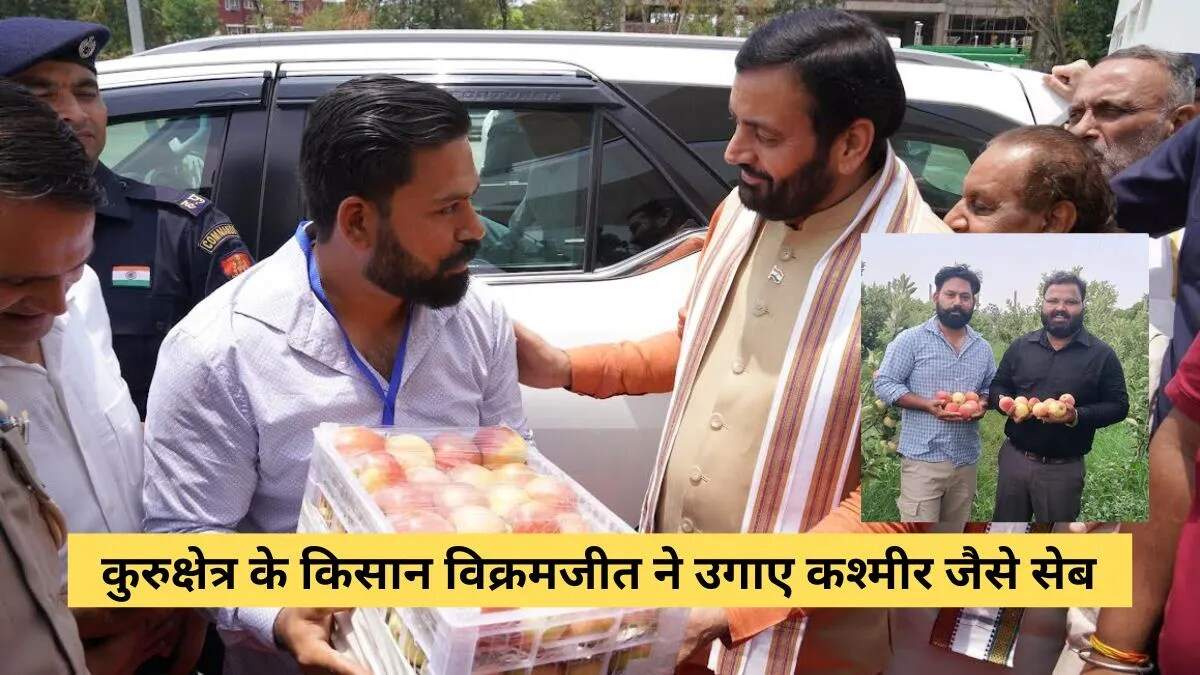 कुरुक्षेत्र में सेब की खेती: हरियाणा के किसानों के लिए नई उम्मीद