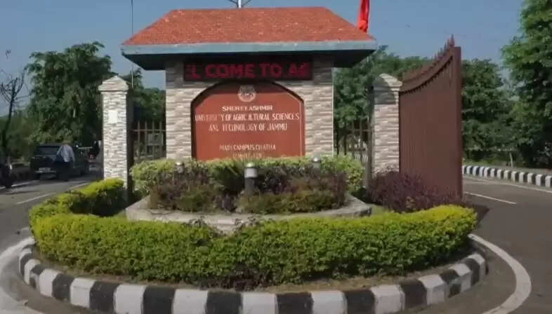 अब उत्तर पश्चिमी प्रदेशों में भी हाेने लगी है जम्मू बासमती की खास किस्मों की पैदावार