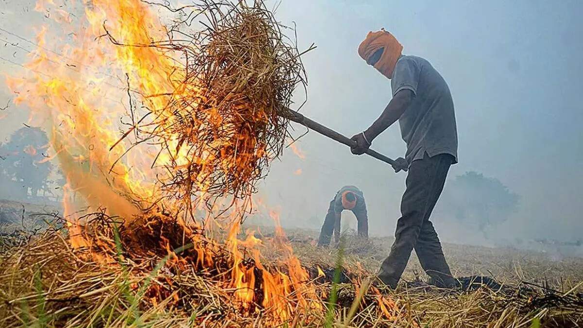हरियाणा में फाने जलाने पर कड़ी कार्रवाई, किसानों में हड़कंप