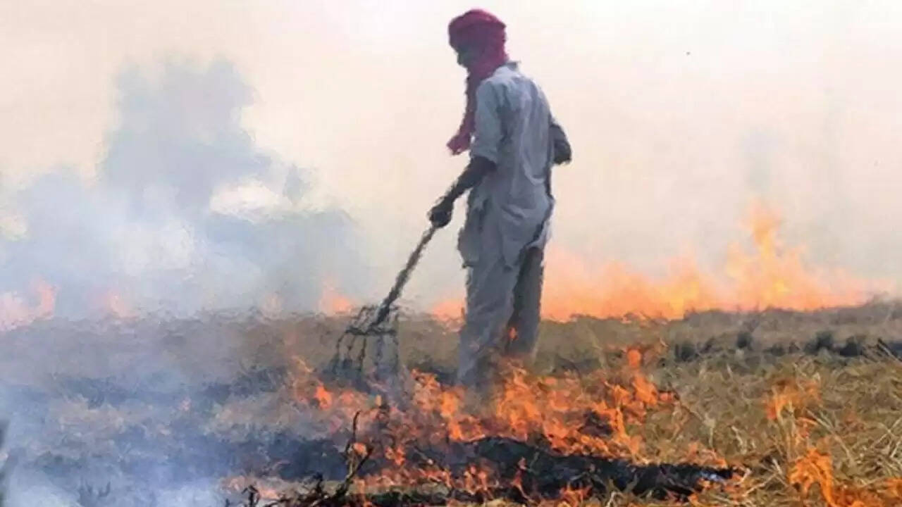 हरियाणा में पराली जलाने पर किसानों पर जुर्माना और MSP पर बिक्री पर रोक