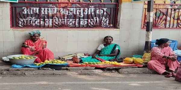 बीजू आम : खूंटी की पहचान, आदिवासी संस्कृति की विरासत और ग्रामीण अर्थव्यवस्था की मजबूत नींव