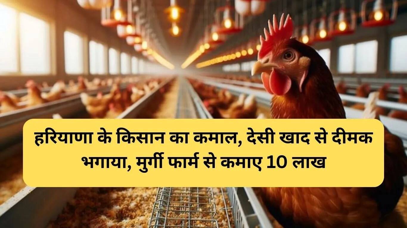 रेवाड़ी के किसान ने प्राकृतिक खेती में किया अद्भुत प्रयोग