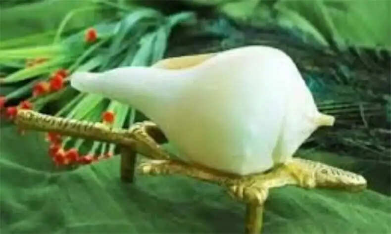 शंख रखने के सही तरीके और सामान्य गलतियाँ