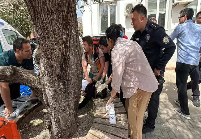 तुर्की में स्कूल में गोलीबारी: 9 की मौत, 20 घायल