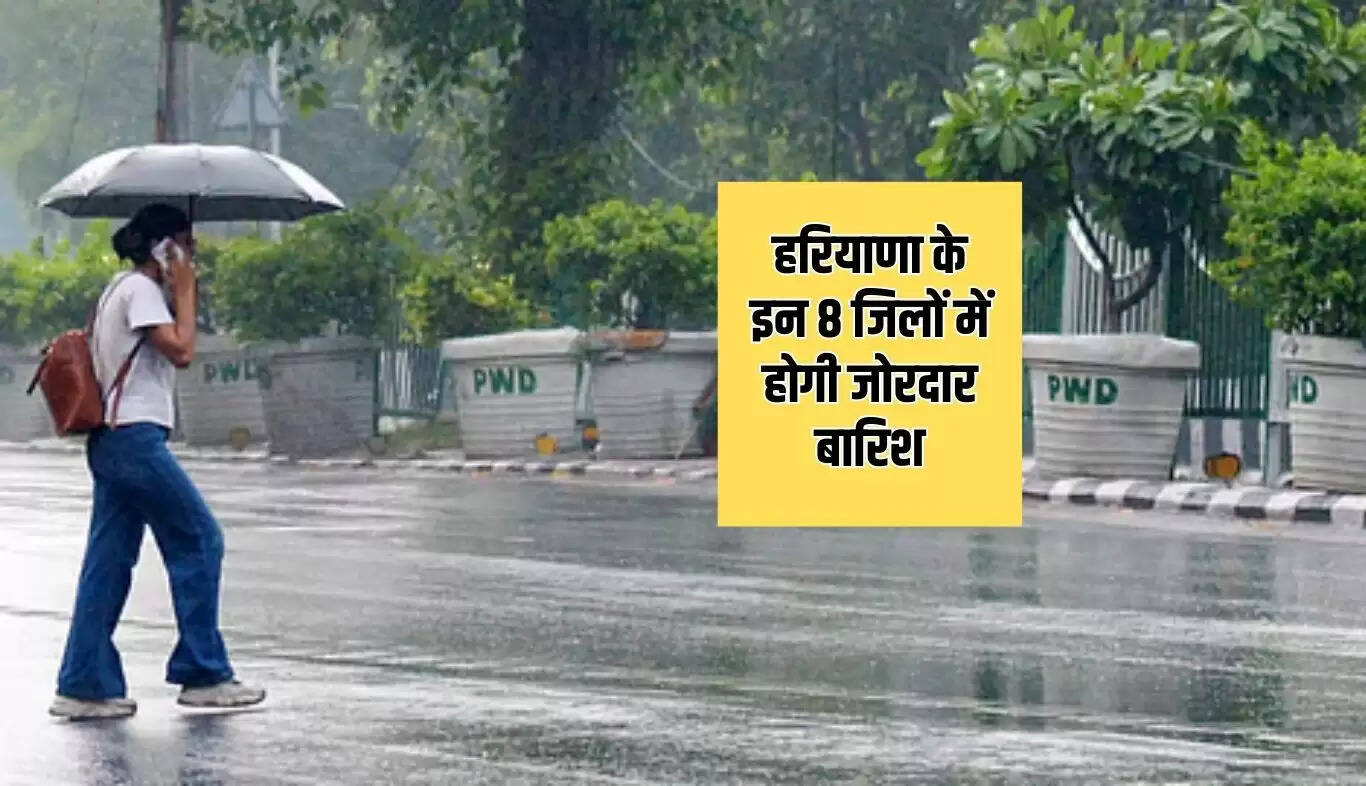 हरियाणा में बारिश का अलर्ट: 8 जिलों में संभावित भारी वर्षा
