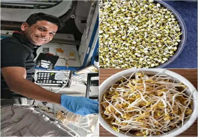 भारतीय अंतरिक्ष यात्री शुभांशु शुक्ला का अंतरिक्ष में प्रयोगों का सफर