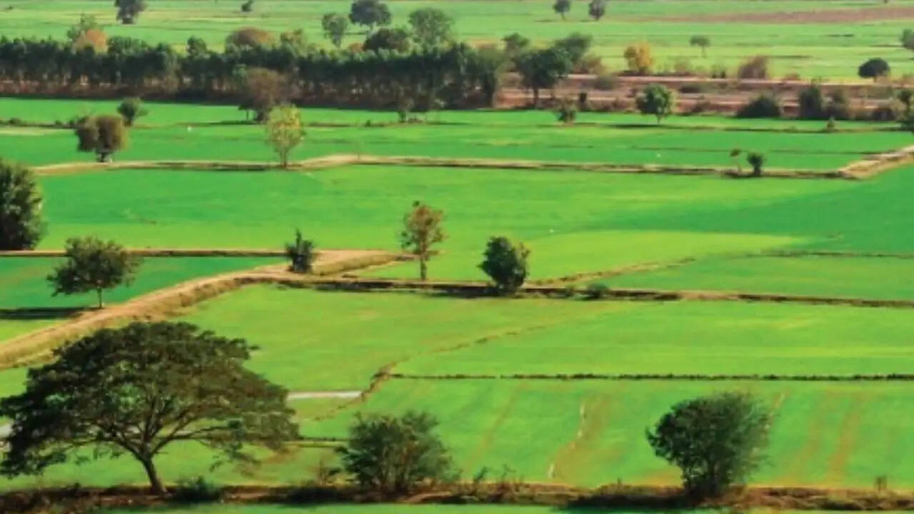 मध्य प्रदेश में अधिकारियों की भूमि खरीद पर विवाद: 3200 करोड़ के प्रोजेक्ट से जुड़ी कहानी