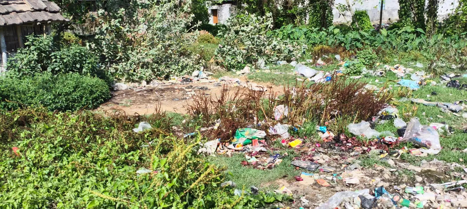 कचरे में तब्दील हुआ पोखर, बदबू और बीमारी के साए में जी रहे लोग, स्थानीय लोगों में आक्रोश