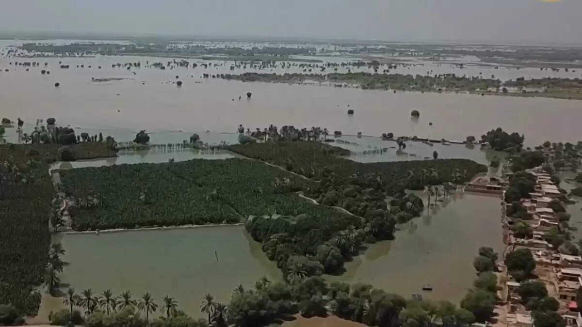 Pakistan Floods: A Devastating Natural Disaster Claims Lives and Displaces Thousands