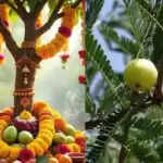 आंवला नवमी: लक्ष्मी जी की पूजा और कथा का महत्व