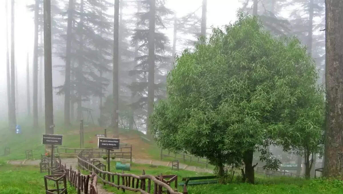 देहरादून के पास छिपे हिल स्टेशनों की खोज: बारिश में अद्भुत नज़ारे