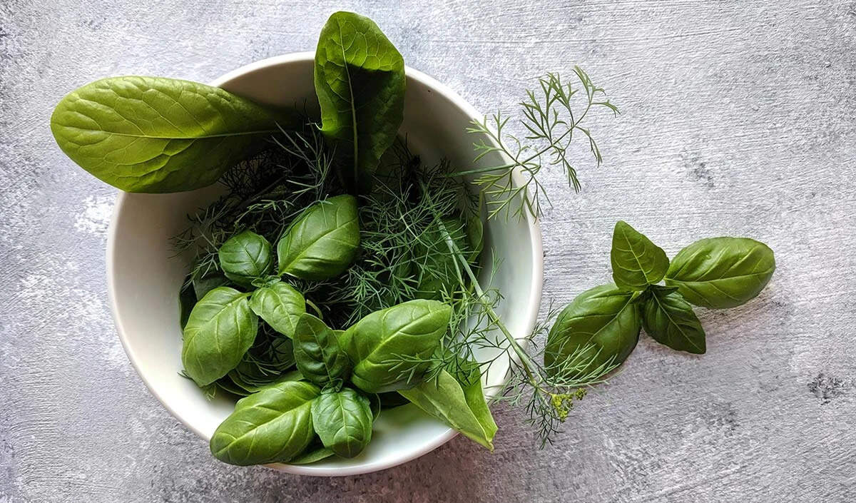 फ्रेश हर्ब्स को लंबे समय तक स्टोर करने के स्मार्ट तरीके