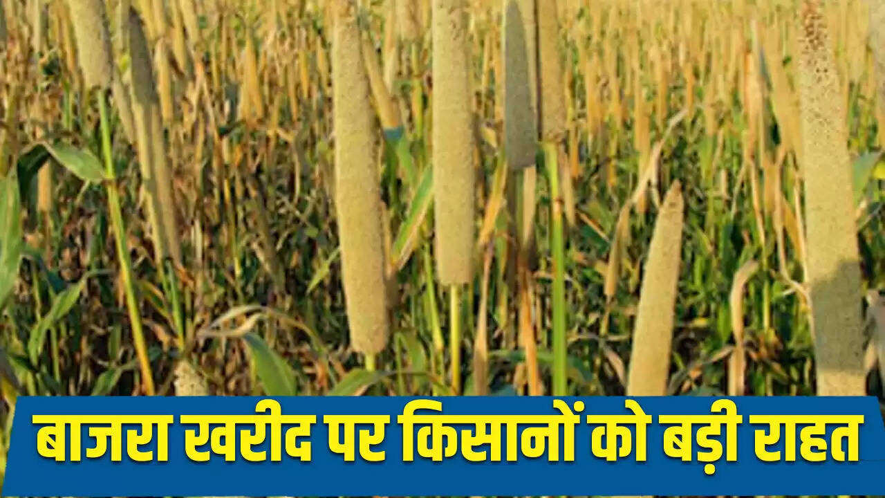 हरियाणा में बाजरे का MSP बढ़ा, किसानों को मिलेगा 2775 रुपये