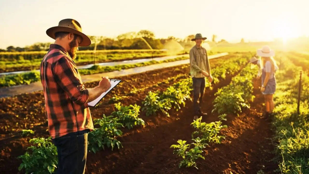 गर्मी में फील्ड वर्क करते समय सेहत का ध्यान कैसे रखें?