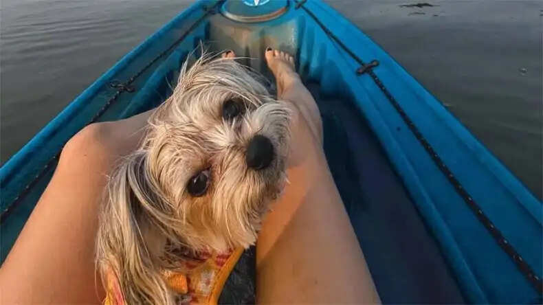 फातिमा सना शेख का समंदर किनारे बिकिनी लुक, फैंस ने किया प्यार